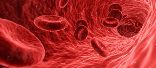 Światowy Dzień Raka Krwi – co warto o nim wiedzieć?
